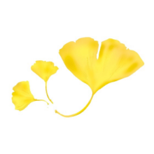 (有機)<br class="pc-only">イチョウ葉エキス