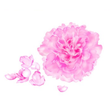 (有機)<br class="pc-only">ローズ水